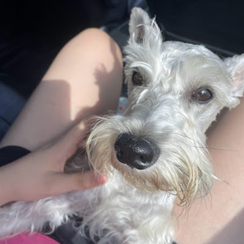 Meet your Posher, Ivana